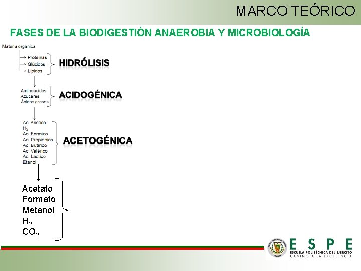 MARCO TEÓRICO FASES DE LA BIODIGESTIÓN ANAEROBIA Y MICROBIOLOGÍA Acetato Formato Metanol H 2