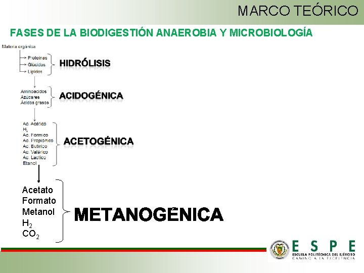 MARCO TEÓRICO FASES DE LA BIODIGESTIÓN ANAEROBIA Y MICROBIOLOGÍA Acetato Formato Metanol H 2