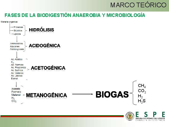 MARCO TEÓRICO FASES DE LA BIODIGESTIÓN ANAEROBIA Y MICROBIOLOGÍA CH 4 CO 2 H