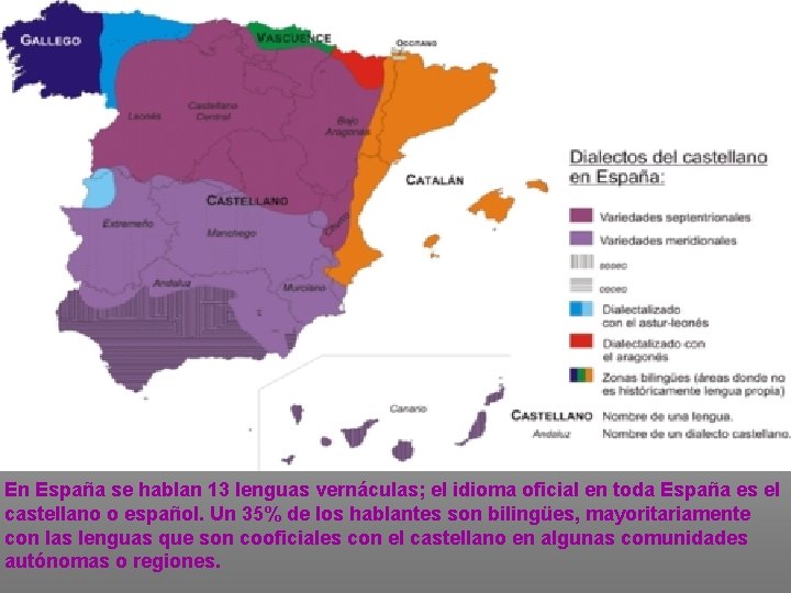 En España se hablan 13 lenguas vernáculas; el idioma oficial en toda España es