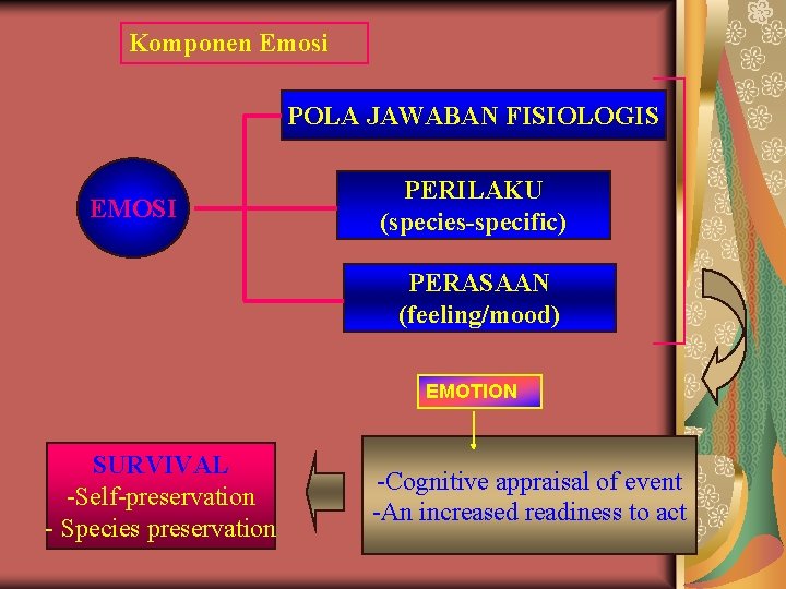 Komponen Emosi POLA JAWABAN FISIOLOGIS EMOSI PERILAKU (species-specific) PERASAAN (feeling/mood) EMOTION SURVIVAL -Self-preservation -
