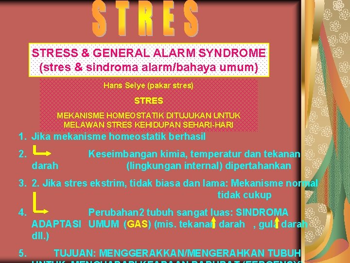 STRESS & GENERAL ALARM SYNDROME (stres & sindroma alarm/bahaya umum) Hans Selye (pakar stres)