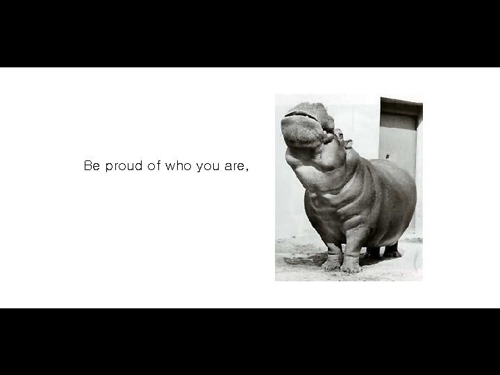 Be proud of who you are, 