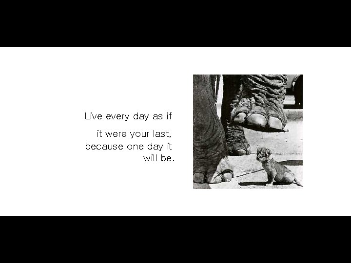 Live every day as if it were your last, because one day it will