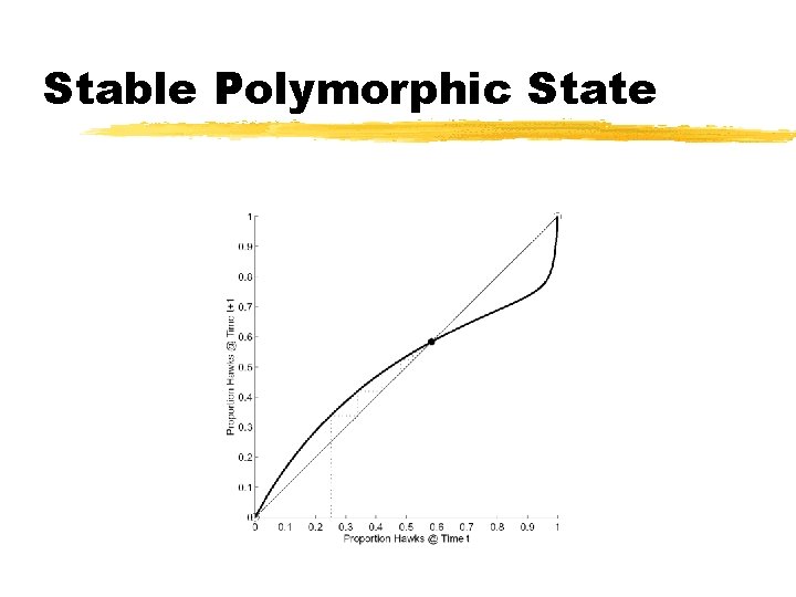 Stable Polymorphic State 