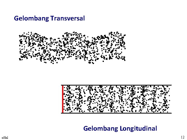 Gelombang Transversal Gelombang Longitudinal afdal 12 