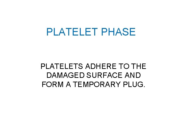 PLATELET PHASE PLATELETS ADHERE TO THE DAMAGED SURFACE AND FORM A TEMPORARY PLUG. 
