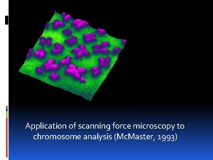 Application of scanning force microscopy to chromosome analysis (Mc. Master, 1993) 