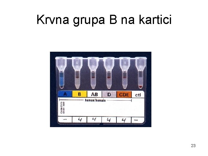 Krvna grupa B na kartici 23 