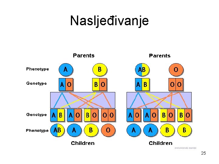 Nasljeđivanje 25 