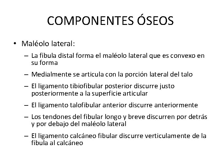 COMPONENTES ÓSEOS • Maléolo lateral: – La fíbula distal forma el maléolo lateral que