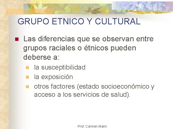 GRUPO ETNICO Y CULTURAL n Las diferencias que se observan entre grupos raciales o