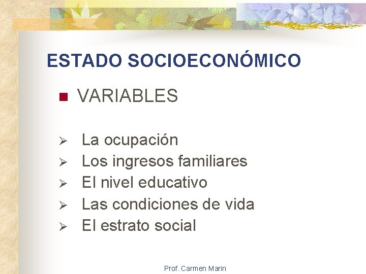 ESTADO SOCIOECONÓMICO n Ø Ø Ø VARIABLES La ocupación Los ingresos familiares El nivel