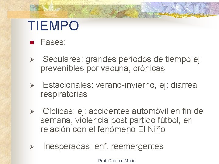 TIEMPO n Fases: Ø Seculares: grandes periodos de tiempo ej: prevenibles por vacuna, crónicas