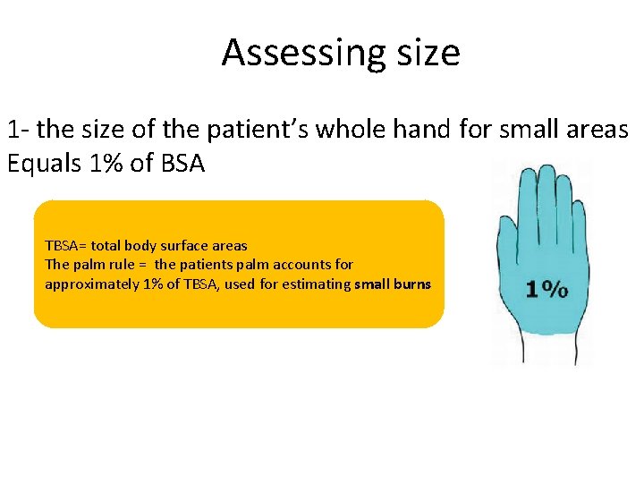 Assessing size 1 - the size of the patient’s whole hand for small areas