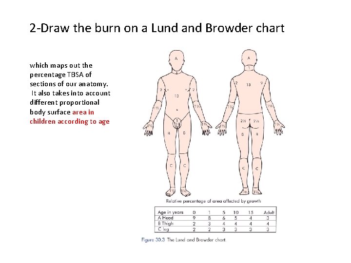 2 -Draw the burn on a Lund and Browder chart which maps out the