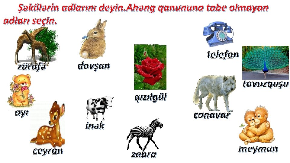 Şəkillərin adlarını deyin. Ahəng qanununa tabe olmayan adları seçin. z ü ra f ə