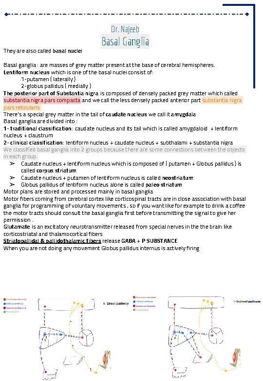 Dr. Najeeb They are also called basal nuclei Basal Ganglia Basal ganglia : are