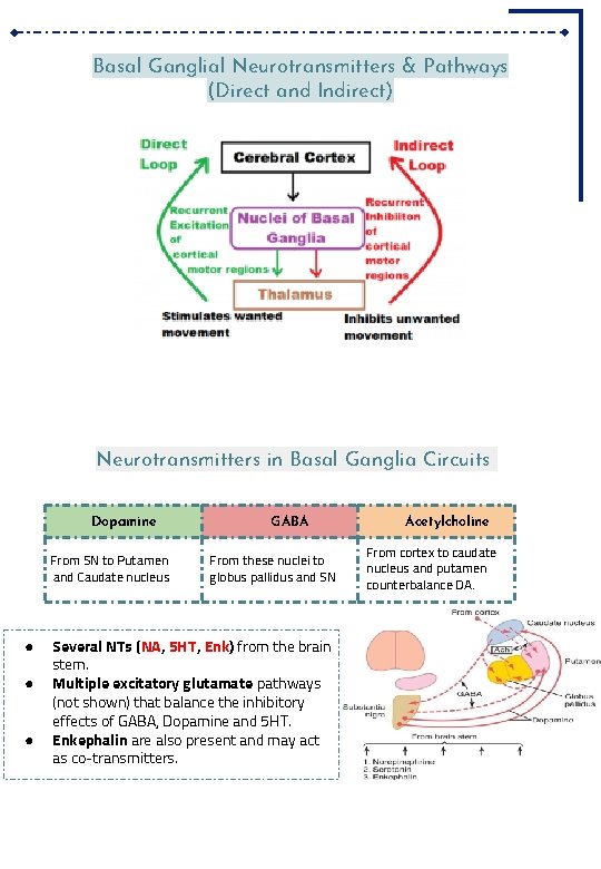 Basal Ganglial Neurotransmitters & Pathways (Direct and Indirect) Neurotransmitters in Basal Ganglia Circuits Dopamine