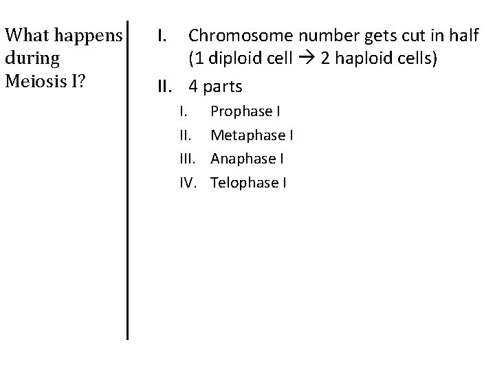 What happens during Meiosis I? I. Chromosome number gets cut in half (1 diploid