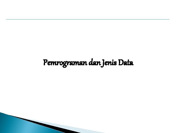 Pemrograman dan Jenis Data 