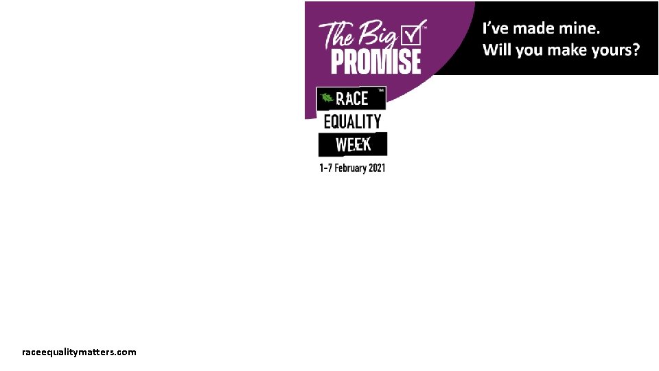 raceequalitymatters. com 