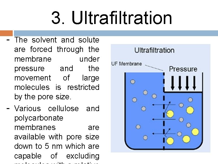 3. Ultrafiltration - The solvent and solute - are forced through the membrane under