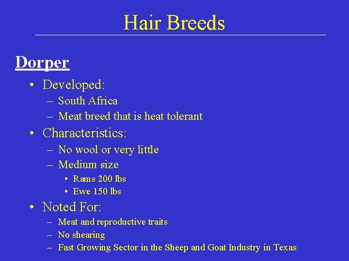 Hair Breeds Dorper • Developed: – South Africa – Meat breed that is heat