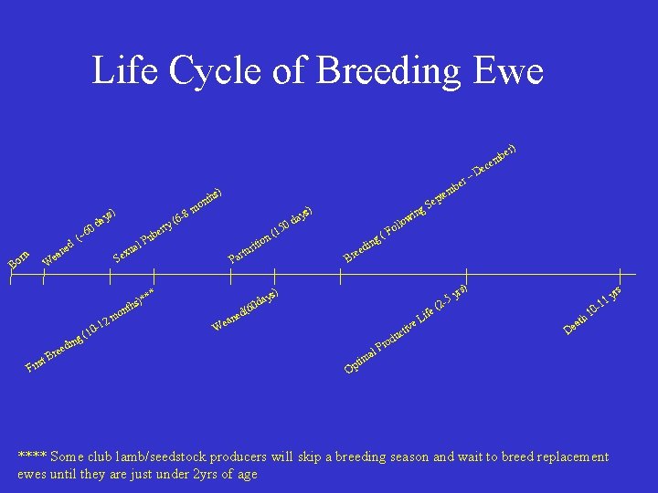 Life Cycle of Breeding Ewe m 6 -8 ( y s) 60 n or
