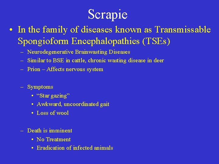 Scrapie • In the family of diseases known as Transmissable Spongioform Encephalopathies (TSEs) –