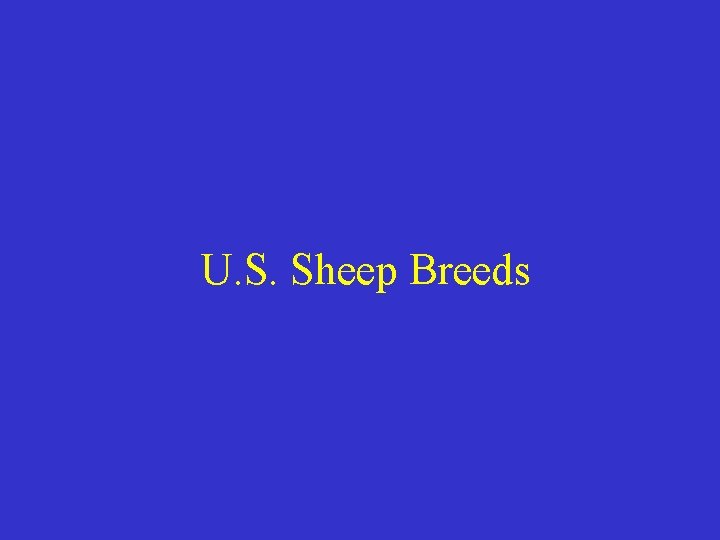 U. S. Sheep Breeds 