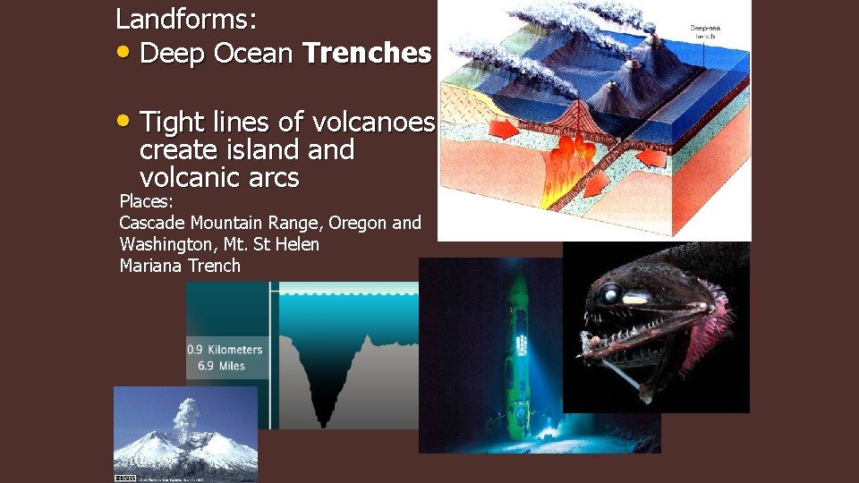 Landforms: • Deep Ocean Trenches • Tight lines of volcanoes create island volcanic arcs