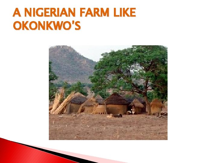 A NIGERIAN FARM LIKE OKONKWO’S 