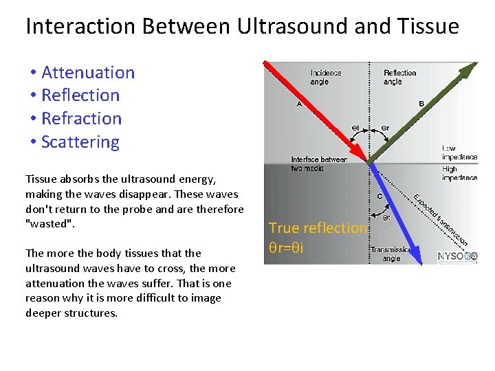 Interaction Between Ultrasound and Tissue • Attenuation • Reflection • Refraction • Scattering Tissue