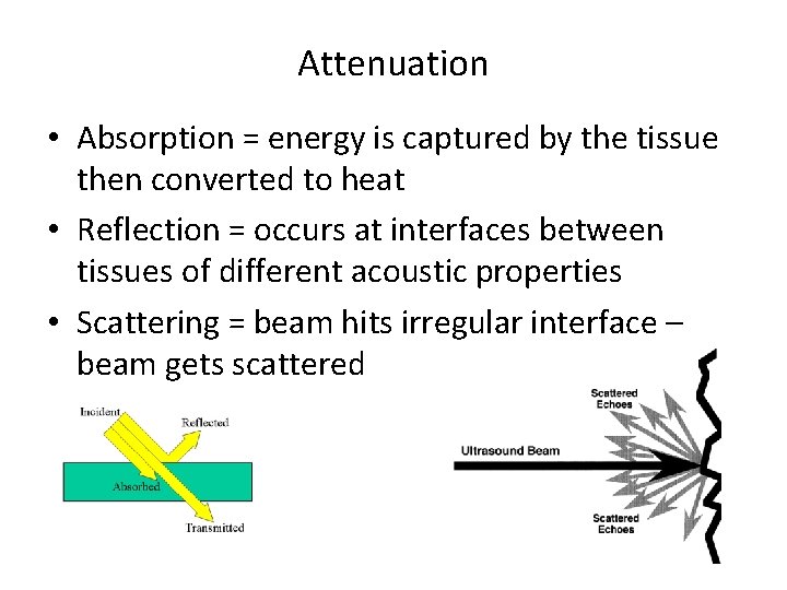 Attenuation • Absorption = energy is captured by the tissue then converted to heat