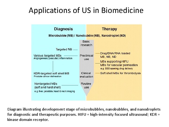 Applications of US in Biomedicine Diagram illustrating development stage of microbubbles, nanobubbles, and nanodroplets