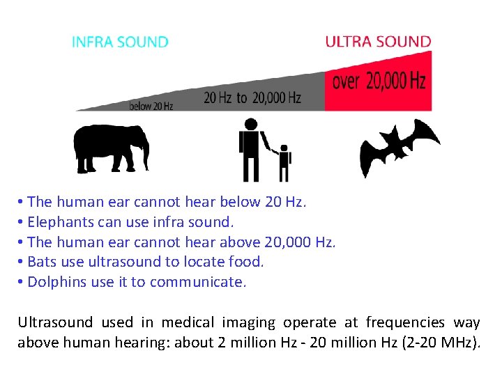  • The human ear cannot hear below 20 Hz. • Elephants can use
