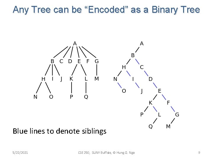 Any Tree can be “Encoded” as a Binary Tree Blue lines to denote siblings Any Tree can be “Encoded” as a Binary Tree Blue lines to denote siblings