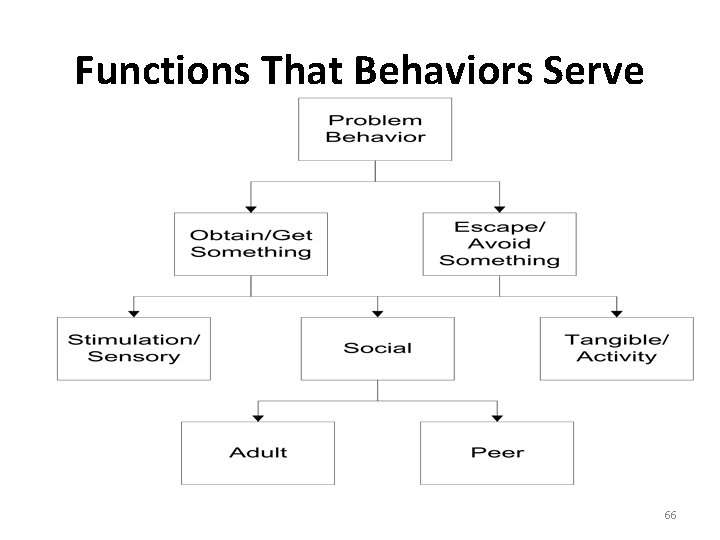 Functions That Behaviors Serve 66 