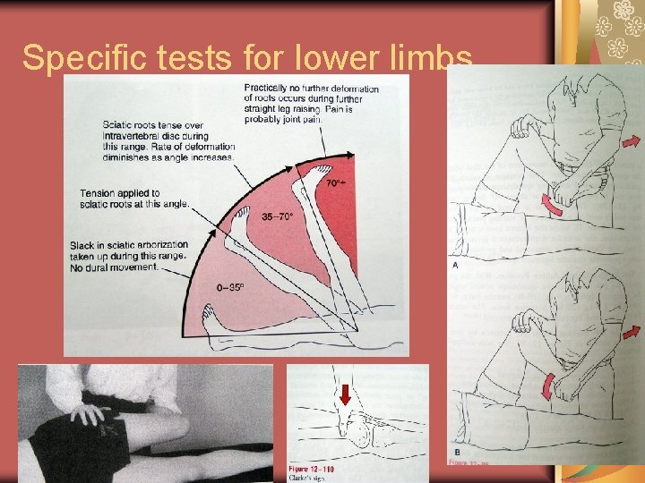 Specific tests for lower limbs 