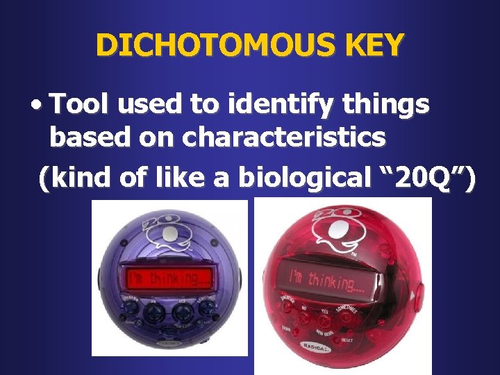 DICHOTOMOUS KEY • Tool used to identify things based on characteristics (kind of like