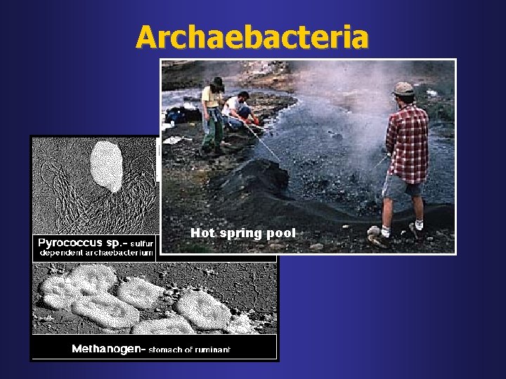 Archaebacteria Hot spring pool 