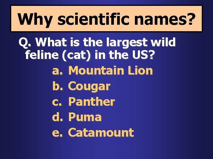 Why scientific names? Q. What is the largest wild feline (cat) in the US?