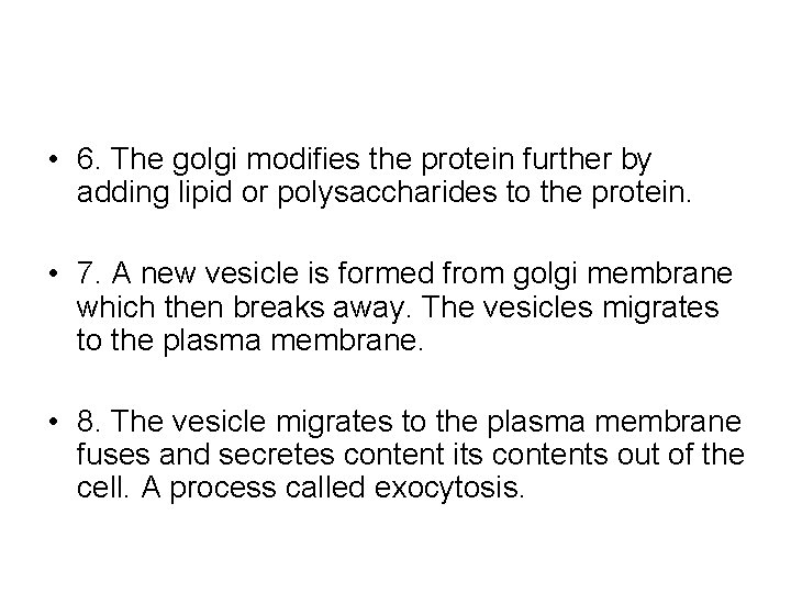  • 6. The golgi modifies the protein further by adding lipid or polysaccharides