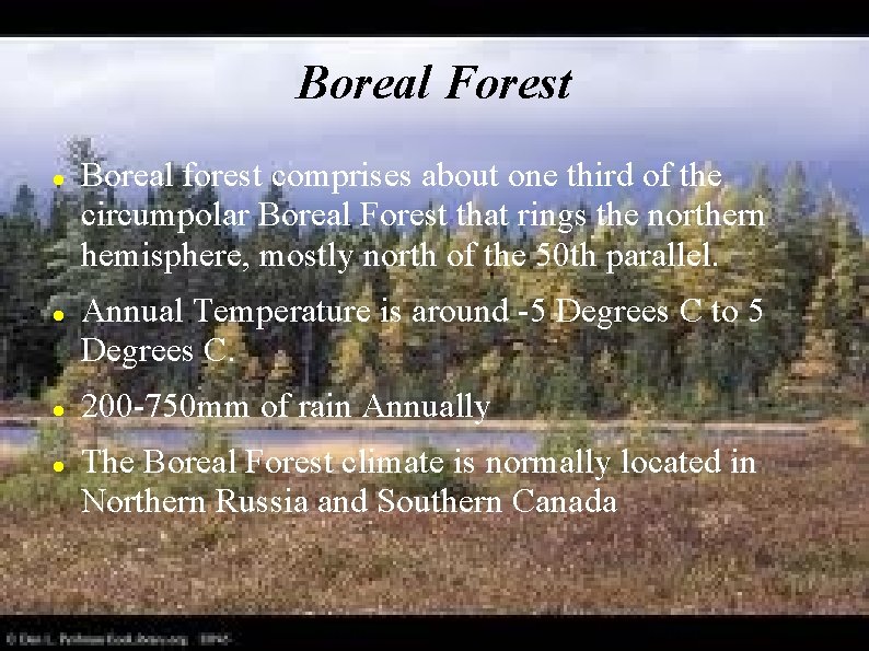 Boreal Forest Boreal forest comprises about one third of the circumpolar Boreal Forest that