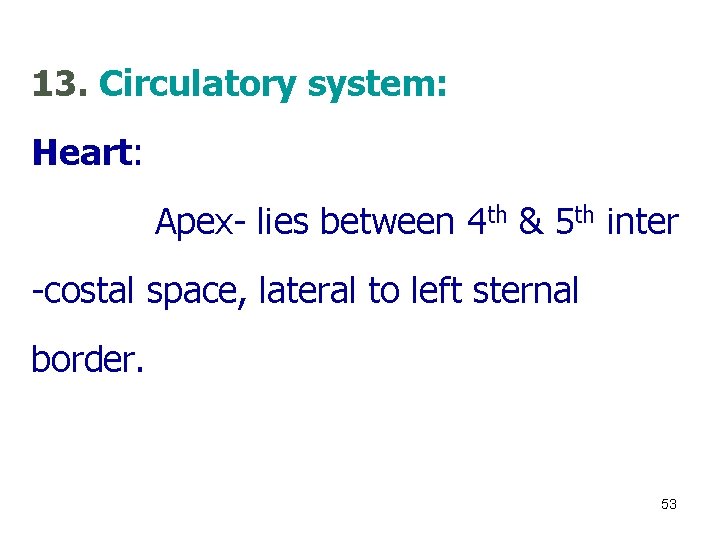 13. Circulatory system: Heart: Apex- lies between 4 th & 5 th inter -costal