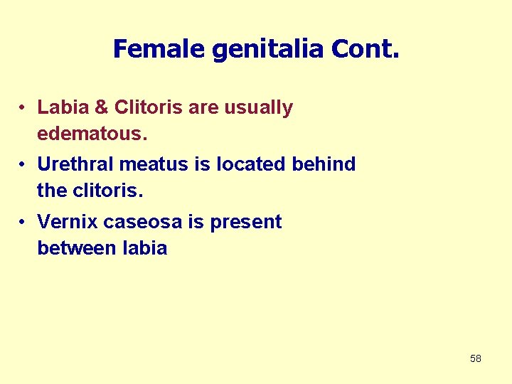 Female genitalia Cont. • Labia & Clitoris are usually edematous. • Urethral meatus is