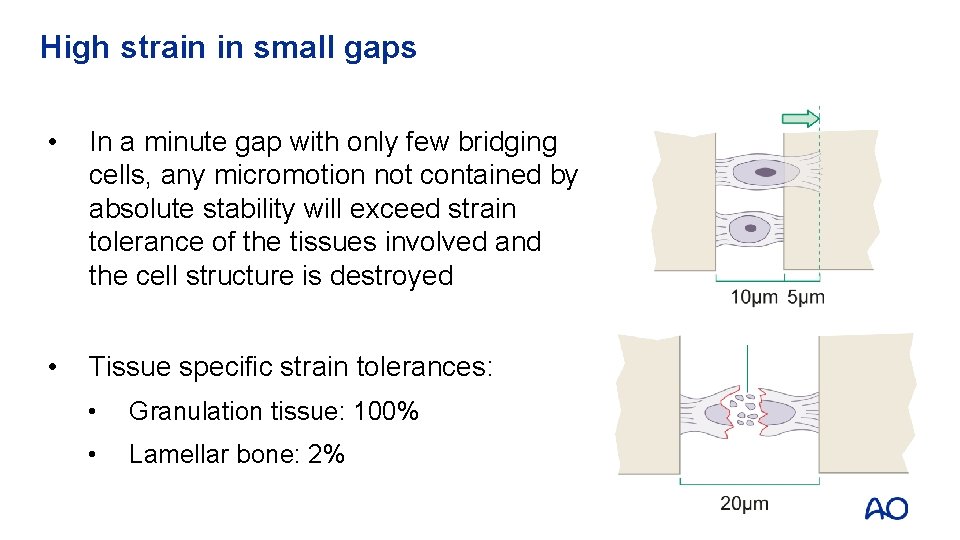 High strain in small gaps • In a minute gap with only few bridging