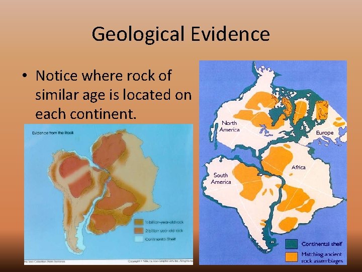 Geological Evidence • Notice where rock of similar age is located on each continent.