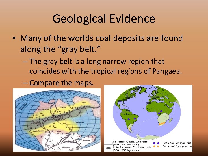 Geological Evidence • Many of the worlds coal deposits are found along the “gray